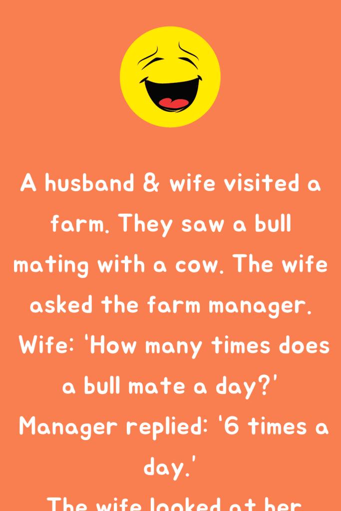 A Farmer Party - Joke Book