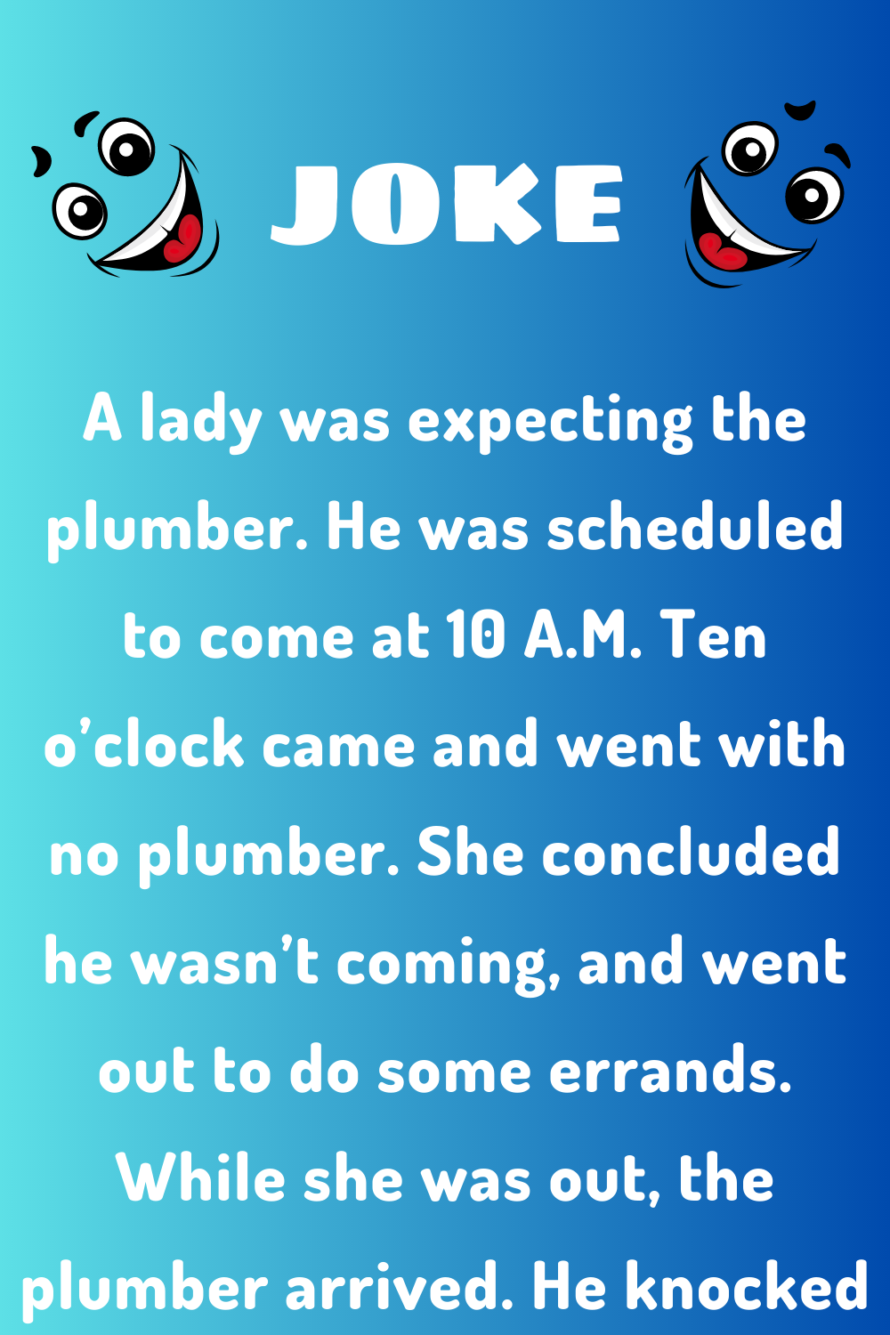 It's The Plumber - Joke Book