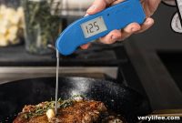 5 Accurate Meat Thermometers for 2024