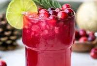 Cranberry Mule Mocktail Recipe: Virgin Moscow Mule