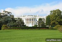 Eating Through Washington, DC: A Local Food Guide