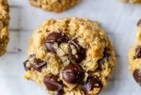 Wholesome Oat Chocolate Chip Cookie Recipe