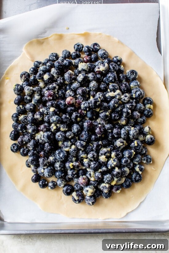 Fill the dough. how to make a Blueberry Galette