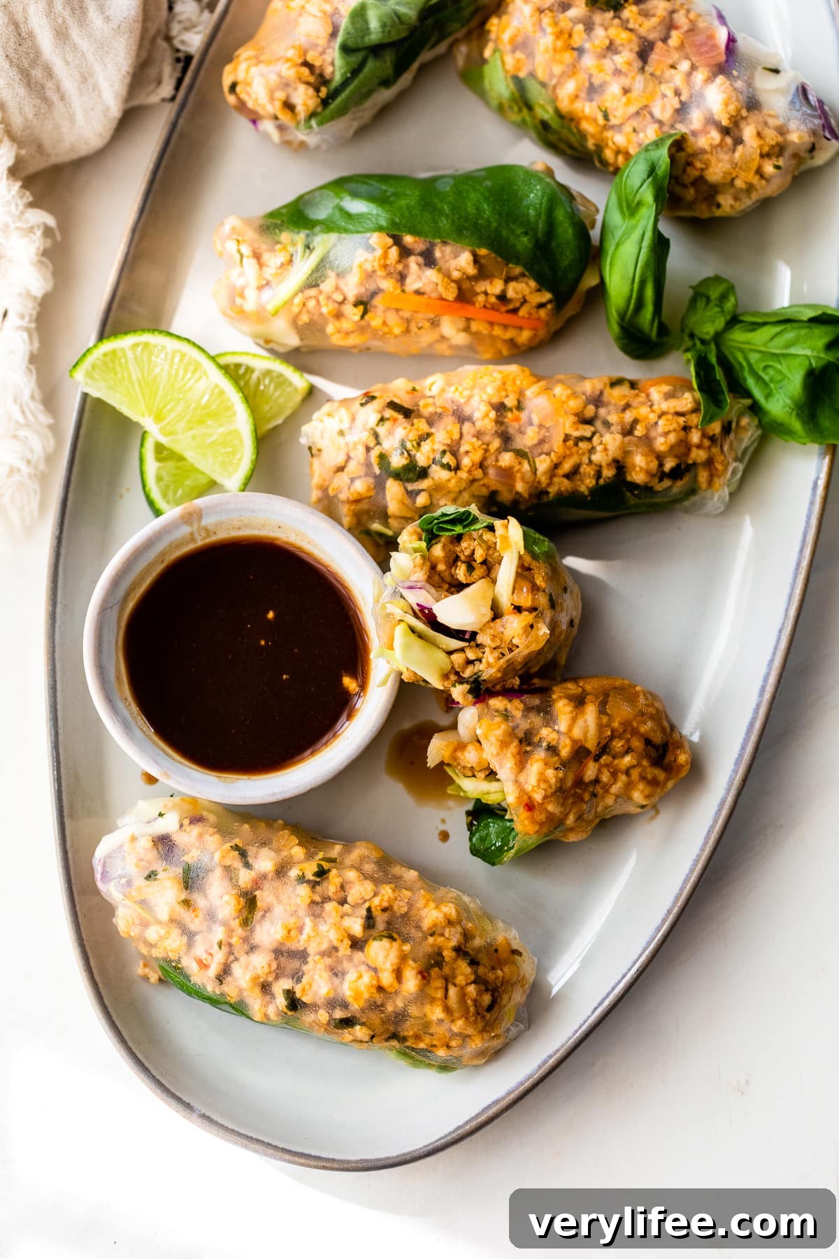 Chicken Summer Rolls Recipe with Peanut Dipping Sauce 2 Chicken Summer Rolls with hoisin sauce