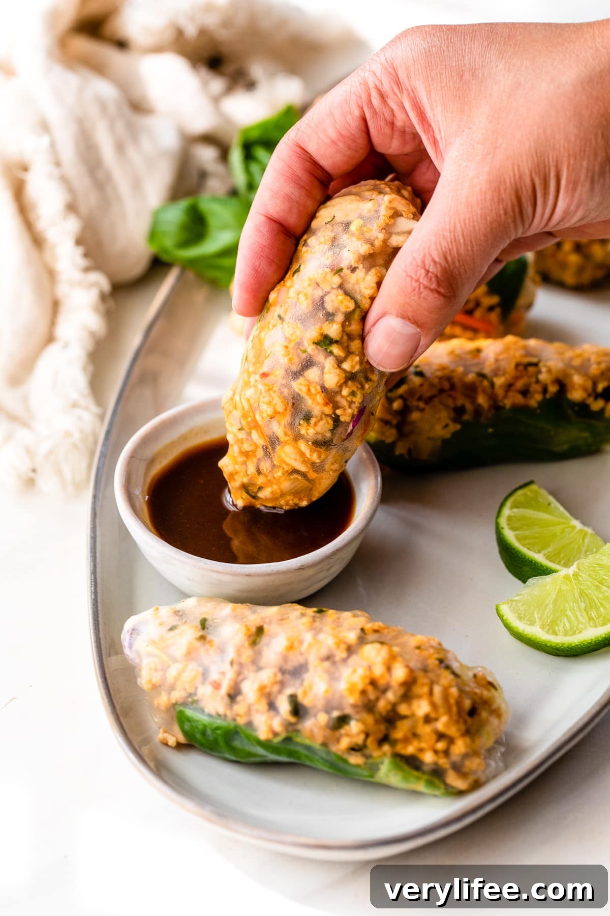 Chicken Summer Rolls Recipe with Peanut Dipping Sauce 3 Chicken Summer Rolls with hoisin