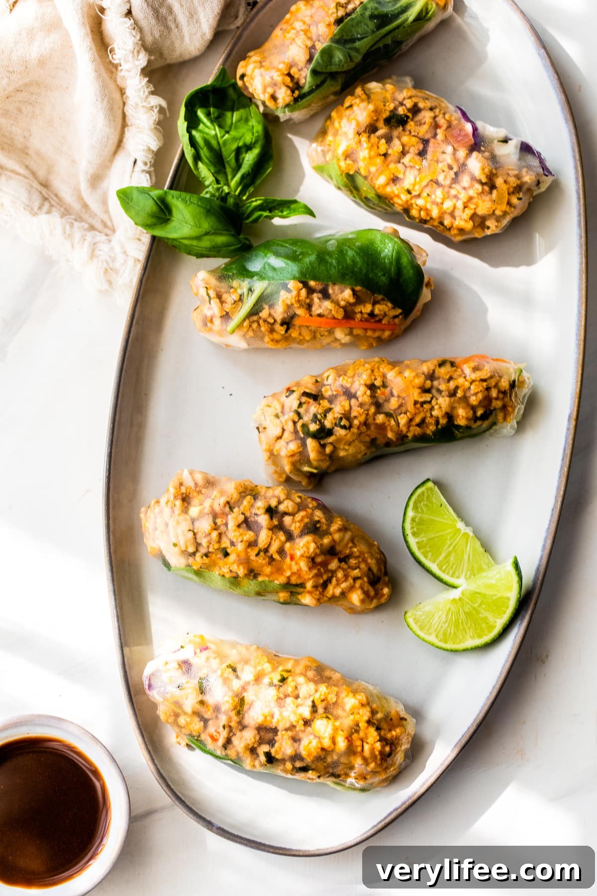 Chicken Summer Rolls Recipe with Peanut Dipping Sauce 6 platter of summer rolls