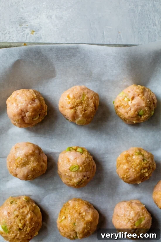 Asian Turkey Meatballs
