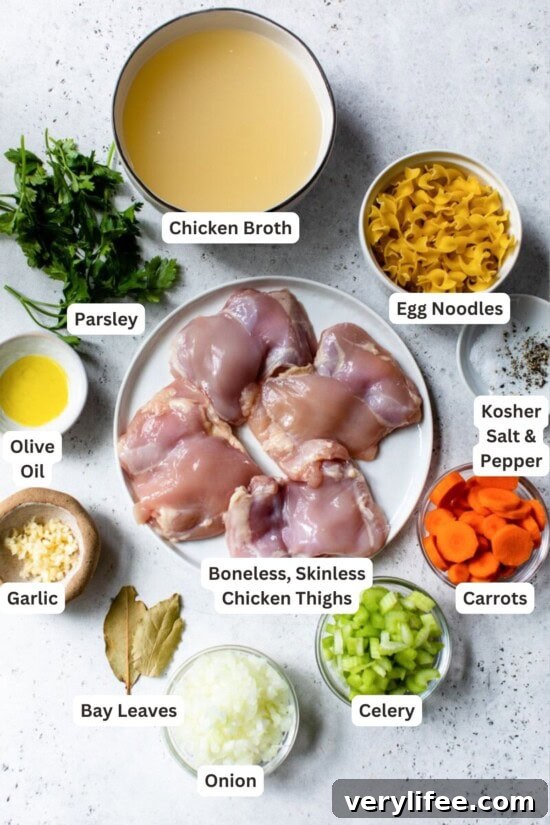 Instant Pot Homemade Chicken Noodle Soup Recipe 4 Ingredients for Instant Pot Chicken Noodle Soup.