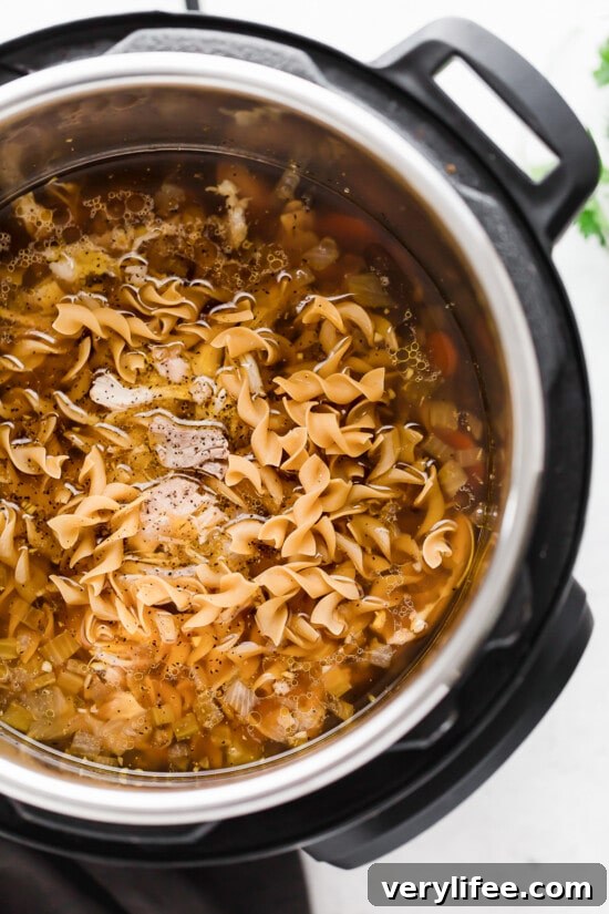 Instant Pot Homemade Chicken Noodle Soup Recipe 6 Instant Pot with Noodles
