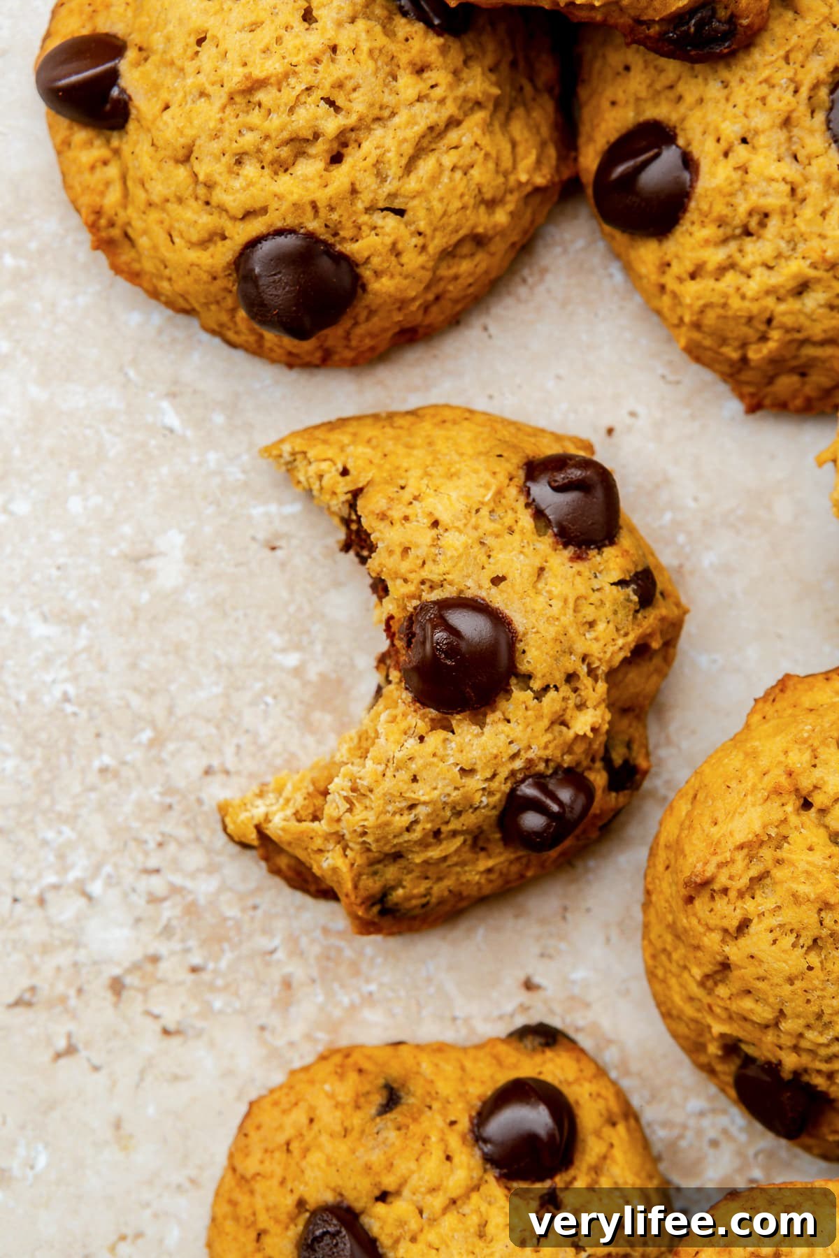 half eaten pumpkin cookie