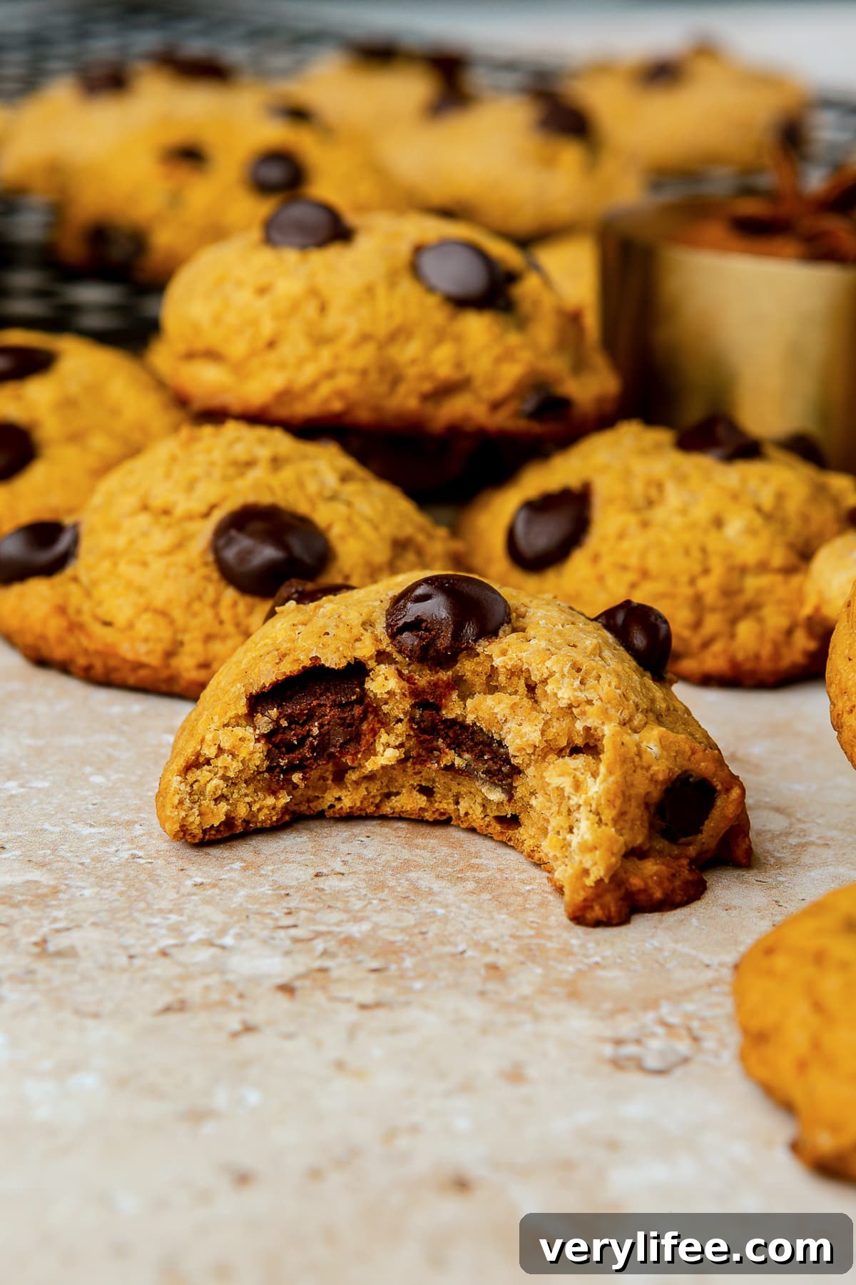 Pumpkin Chocolate Chip Cookies