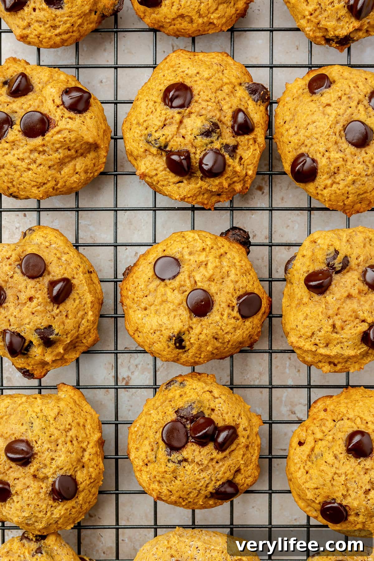 pumpkin chocolate chip cookies on a wire rack