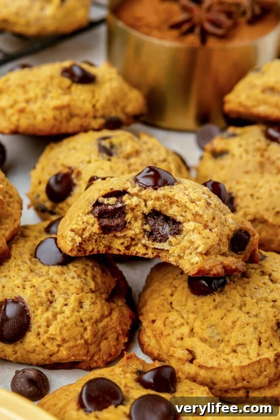 Pumpkin Chocolate Chip Cookies