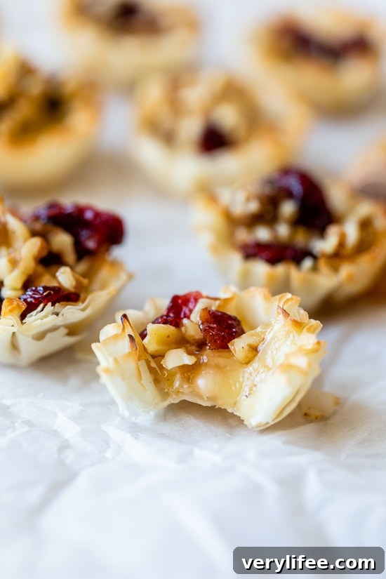 Baked Brie Phyllo Cups with Craisins and Walnuts