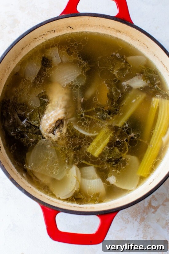 turkey stock in pot