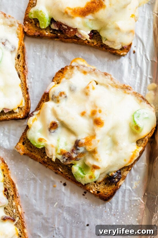 20 Creative Thanksgiving Leftover Recipes to Transform Your Meal 13 Open-Faced Turkey Melts