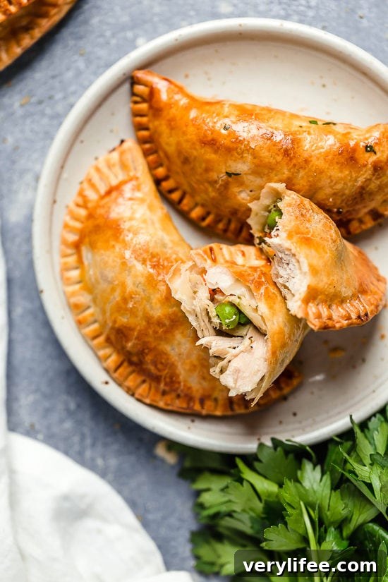 20 Creative Thanksgiving Leftover Recipes to Transform Your Meal 10 Leftover Turkey Pot Pie Empanadas
