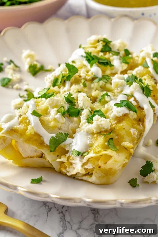 10 Comforting Chicken Casserole Recipes for Weeknight Meals 12 Enchiladas Verdes (Green Enchiladas)