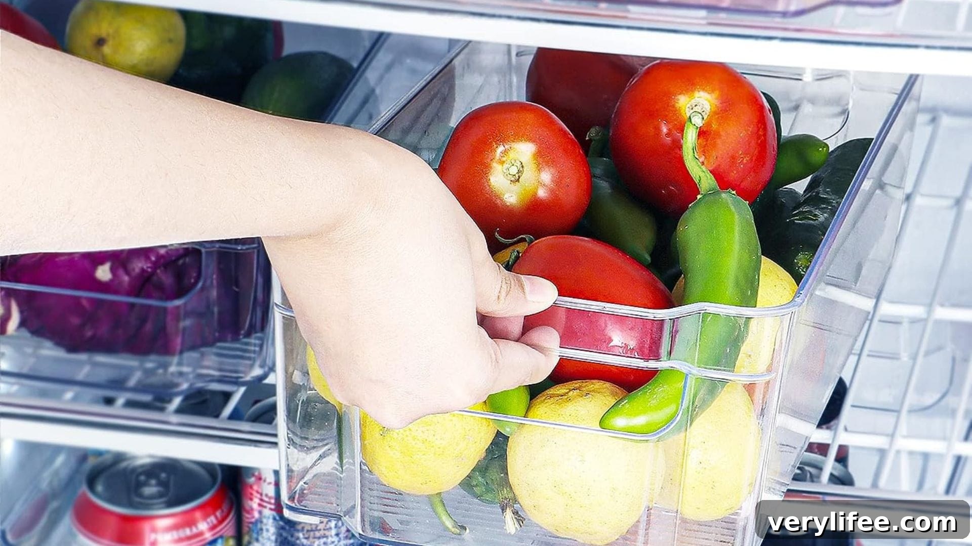 6 Fridge Organizers to Maximize Space in 2024 10 Best fridge organizers