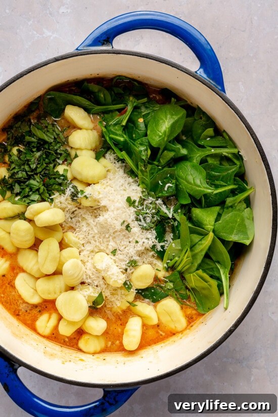 Creamy Homemade Chicken Gnocchi Soup Recipe 7 Gnocchi Soup