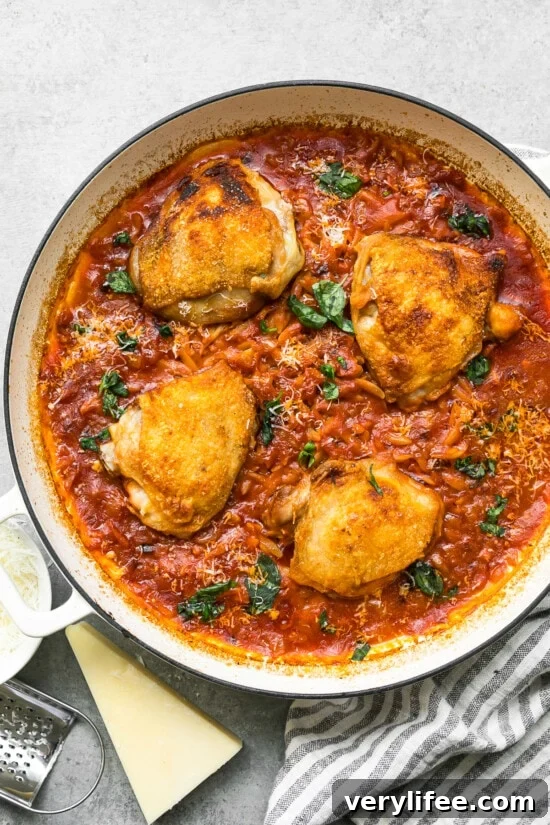 One-Pot Chicken and Orzo Recipe 9 One Pot Chicken and Orzo