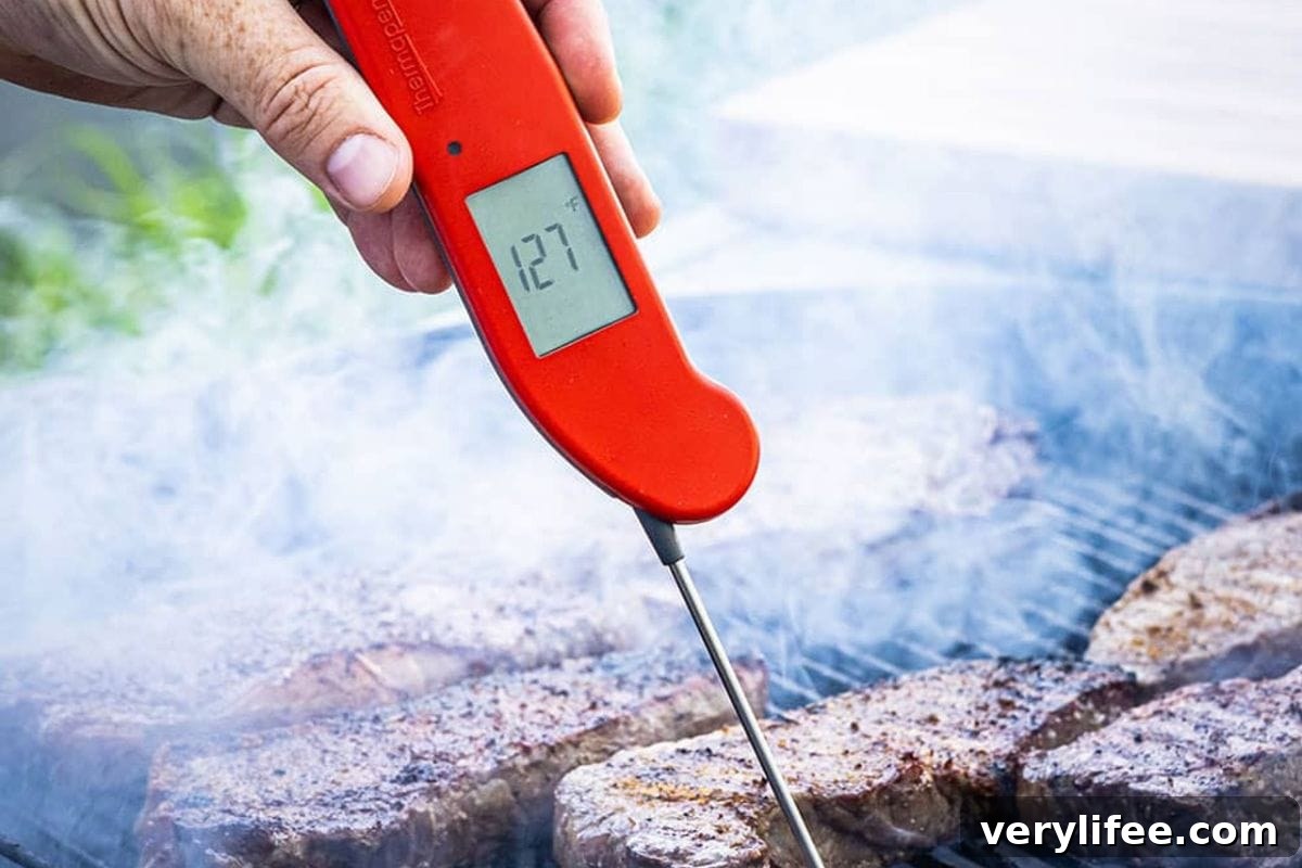 Thermapen ONE
