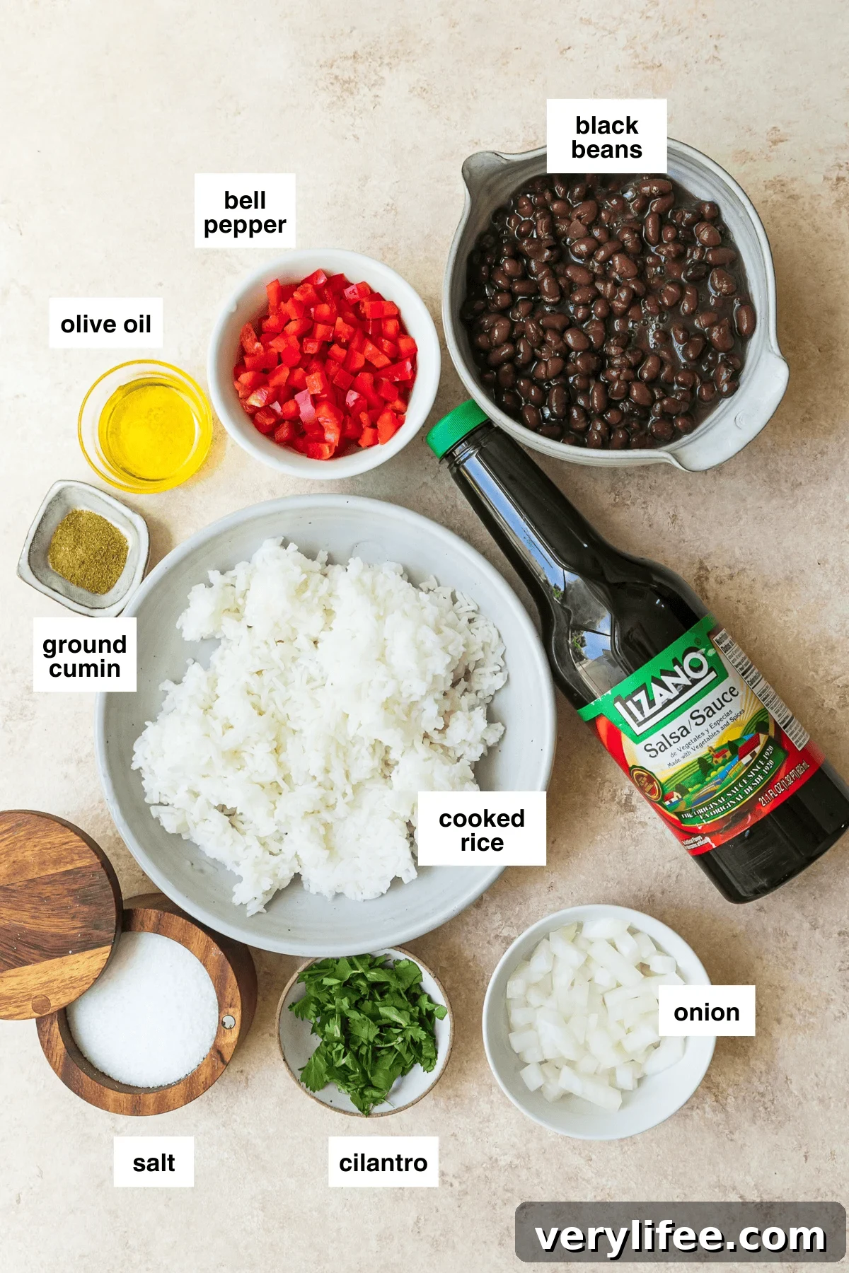 Gallo Pinto: Costa Rican Rice and Beans Recipe 6 Gallo Pinto ingredients