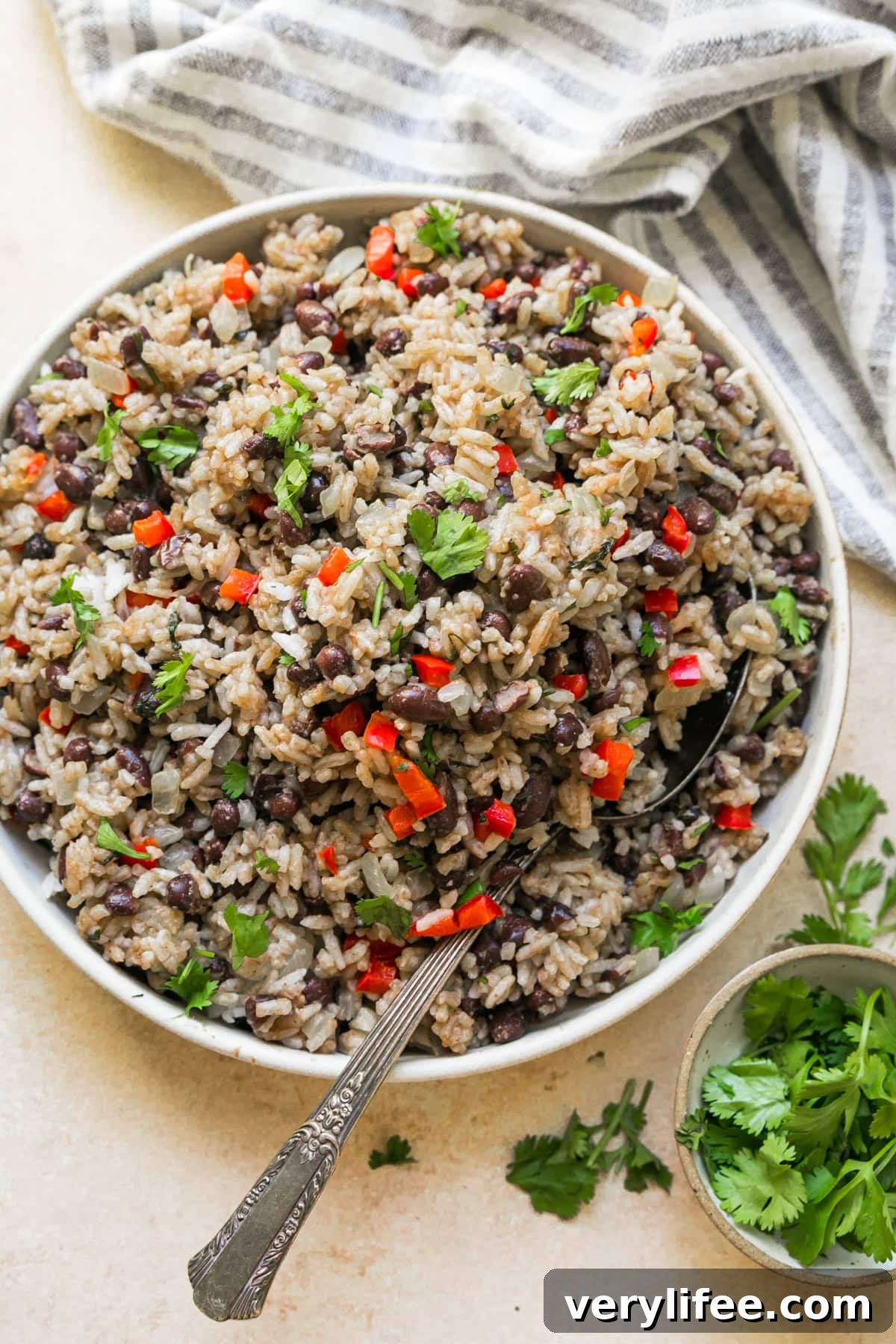 Gallo Pinto: Costa Rican Rice and Beans Recipe 10 Gallo Pinto in a bowl