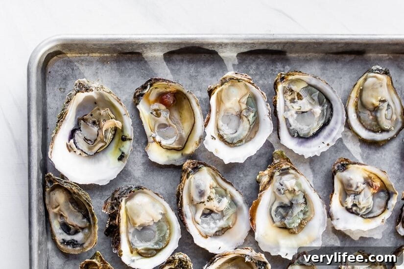 Oysters on the halfshell