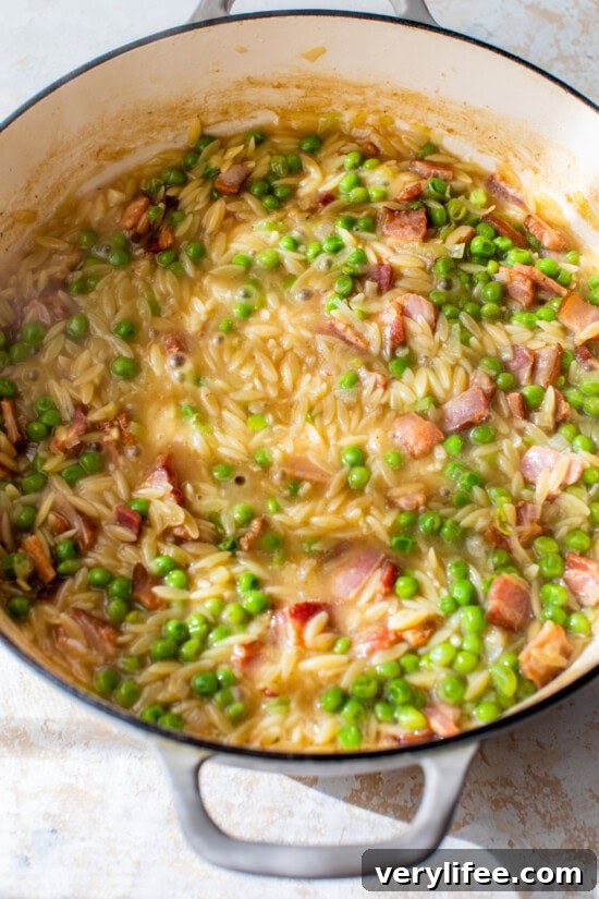 Add orzo and broth.