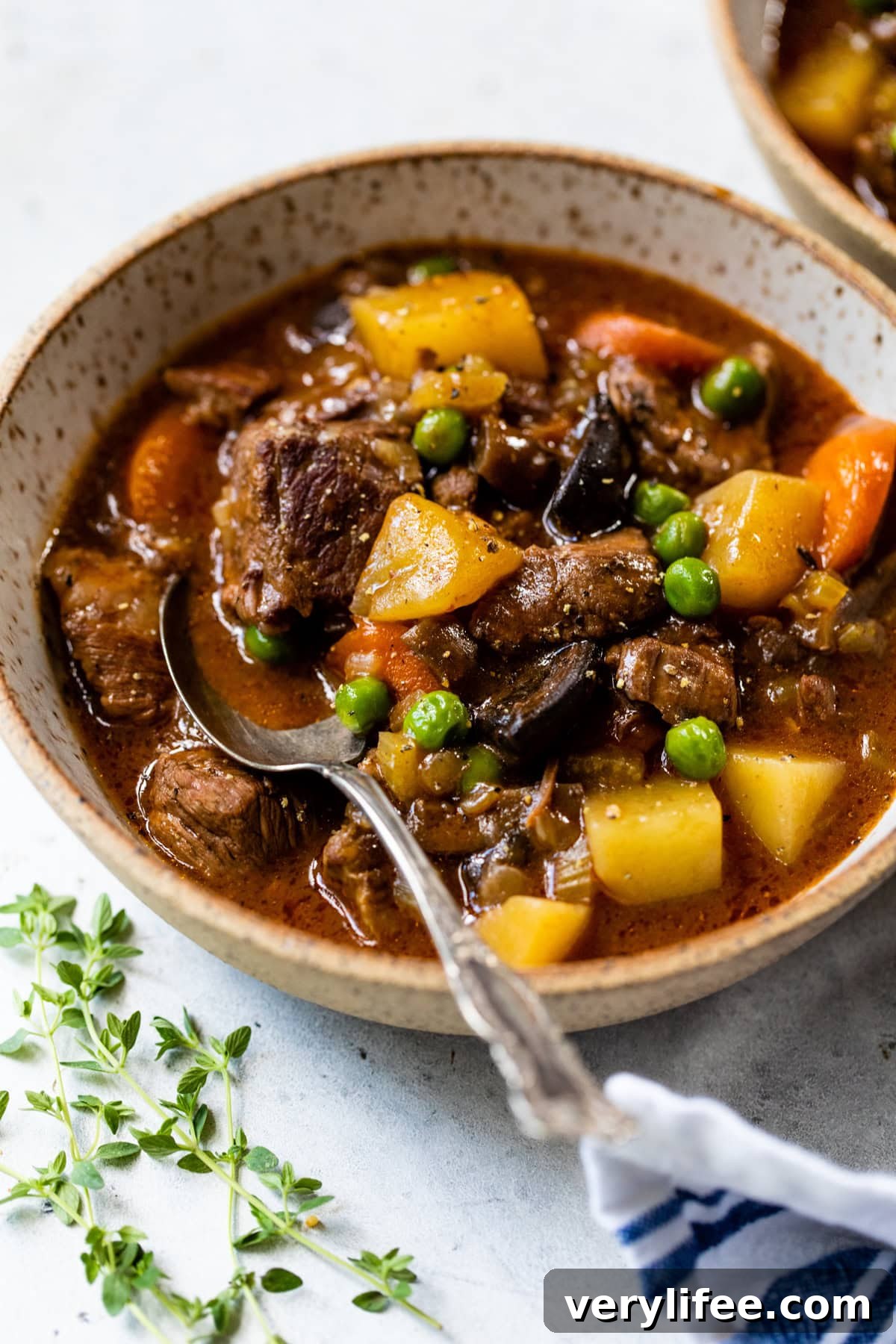 beef stew in a bowl