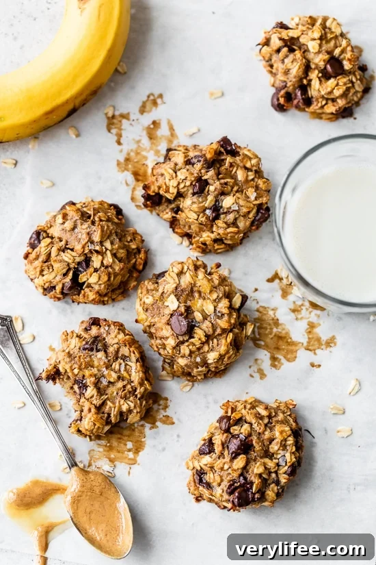 Peanut Butter Oatmeal Protein Cookies
