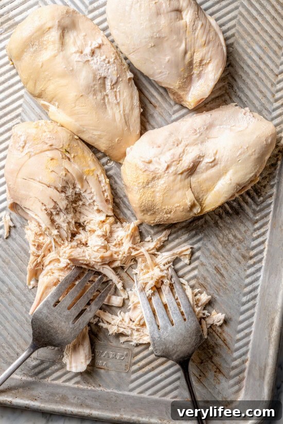 Forks shredding cooked chicken breasts
