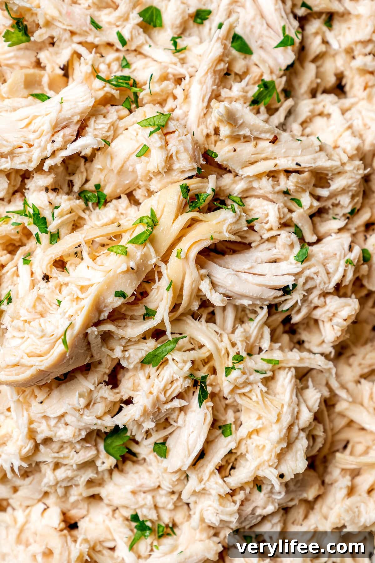 Closeup of slow cooker shredded chicken