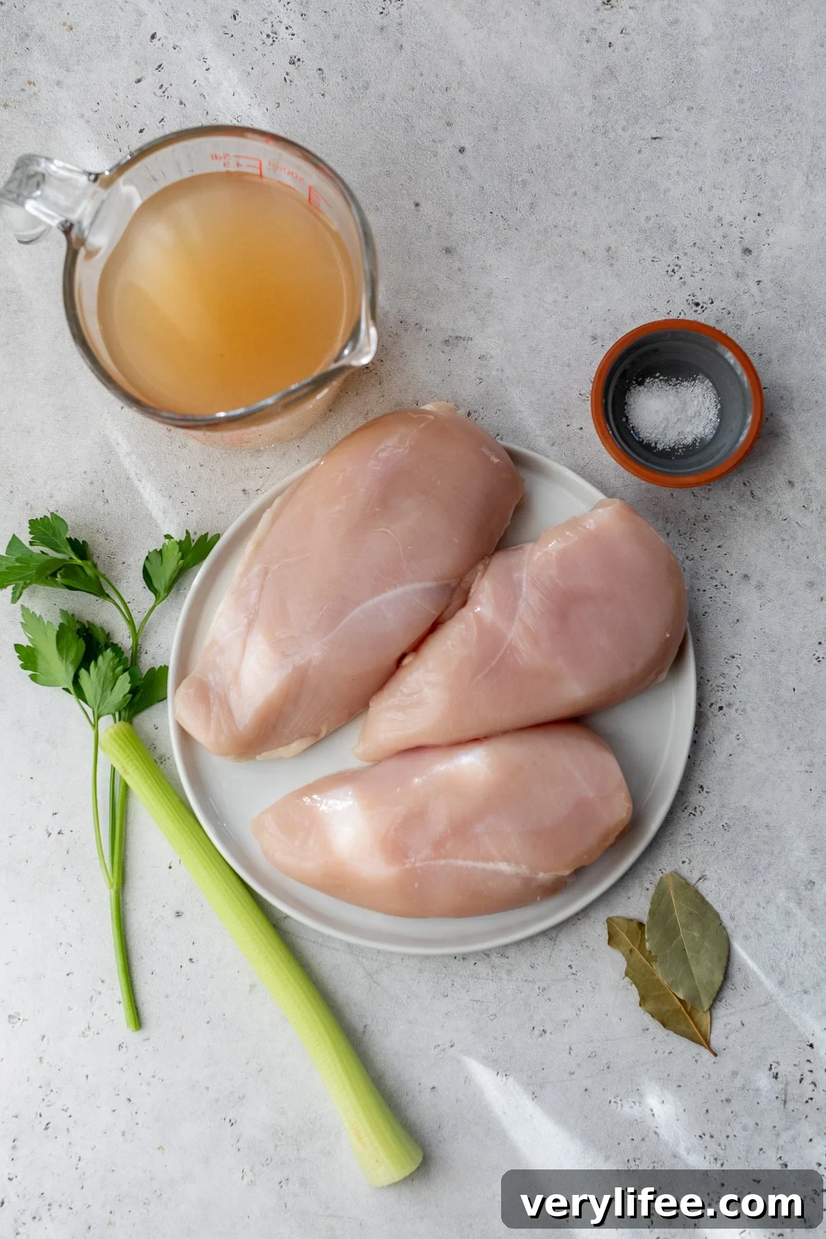 Instant Pot Shredded Chicken