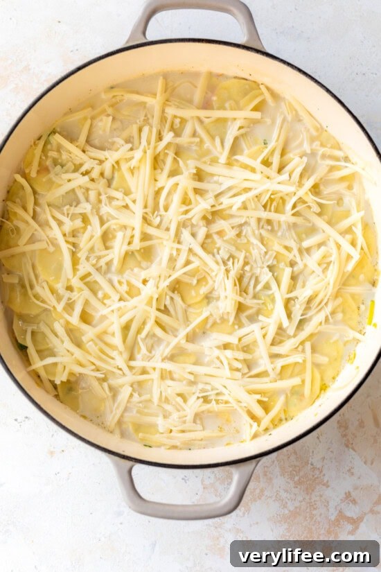 Leftover Turkey Pot Pie Gratin Recipe 8 Top with milk and shredded cheese then bake.