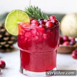 Cranberry Mule Mocktail Recipe: Virgin Moscow Mule 9 Cranberry Mule Mocktail