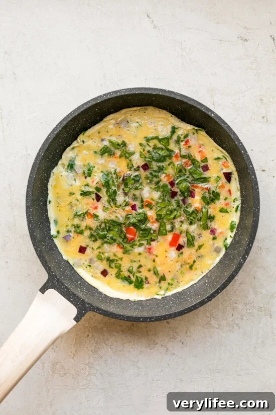 Omelet