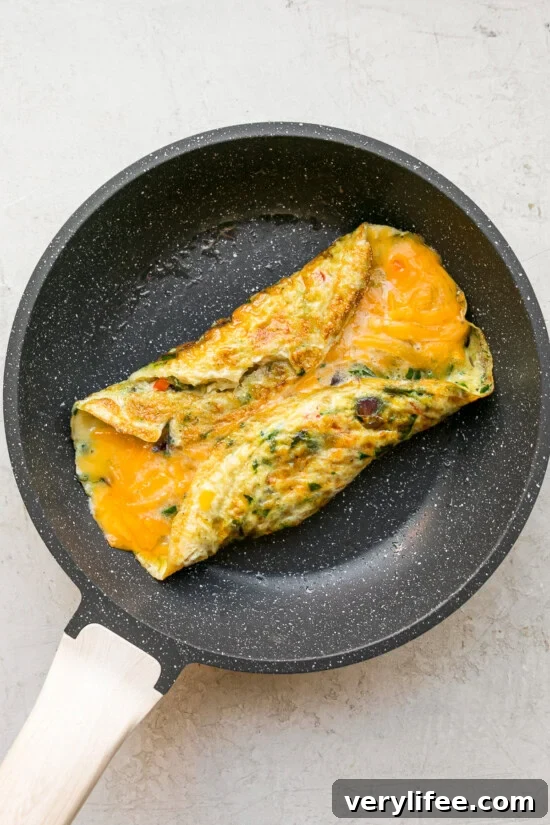 High Protein Omelet