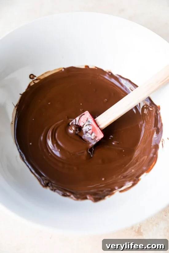 melt the chocolate