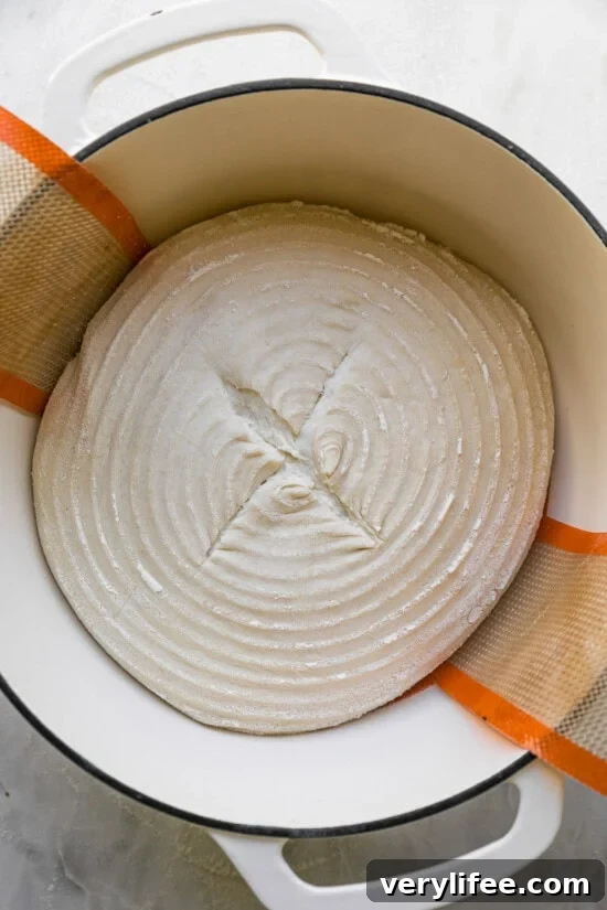 How to Make Classic Sourdough Bread at Home 16 Score and bake