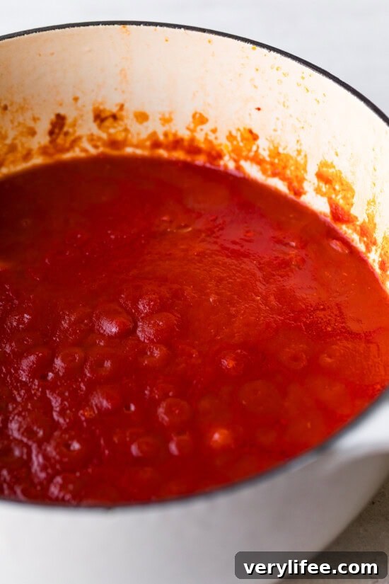 Authentic San Francisco Cioppino Recipe 7 Simmer the sauce