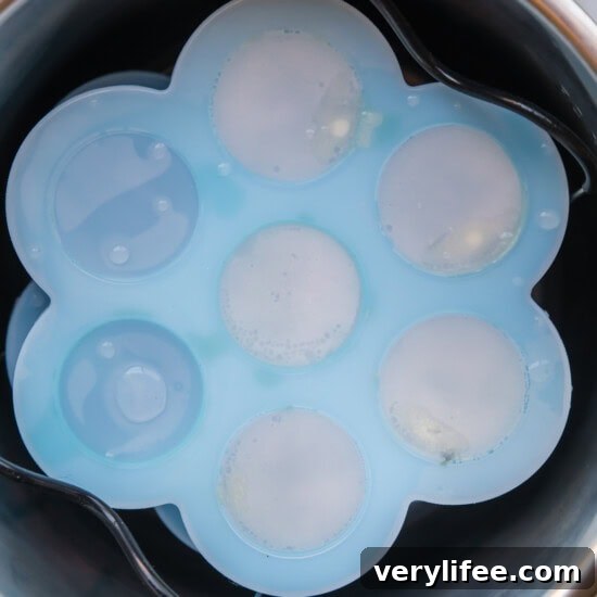 Copycat Starbucks Instant Pot Egg Bites Recipe 9 Egg Bites in Instant Pot