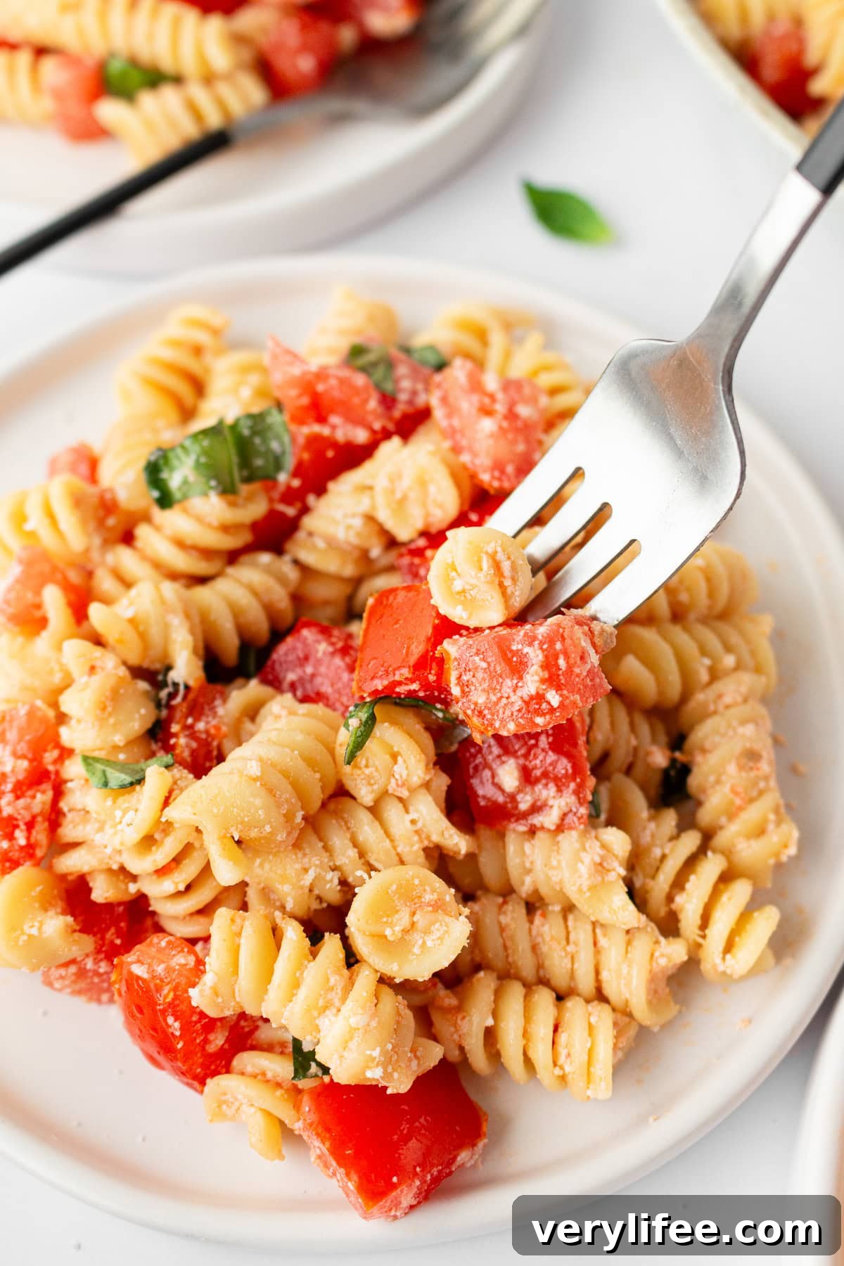 Fresh Tomato Pasta Recipe with Garlic and Basil 13 Marinated Tomato Pasta