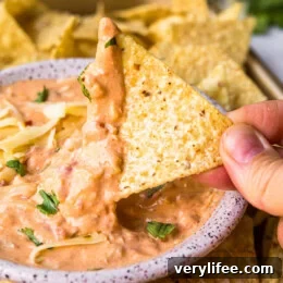 queso with chip
