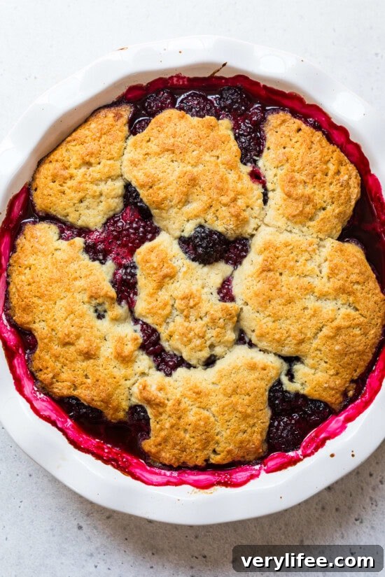 Blackberry Cobbler Recipe with Fresh Berries 9 Blackberry Cobbler