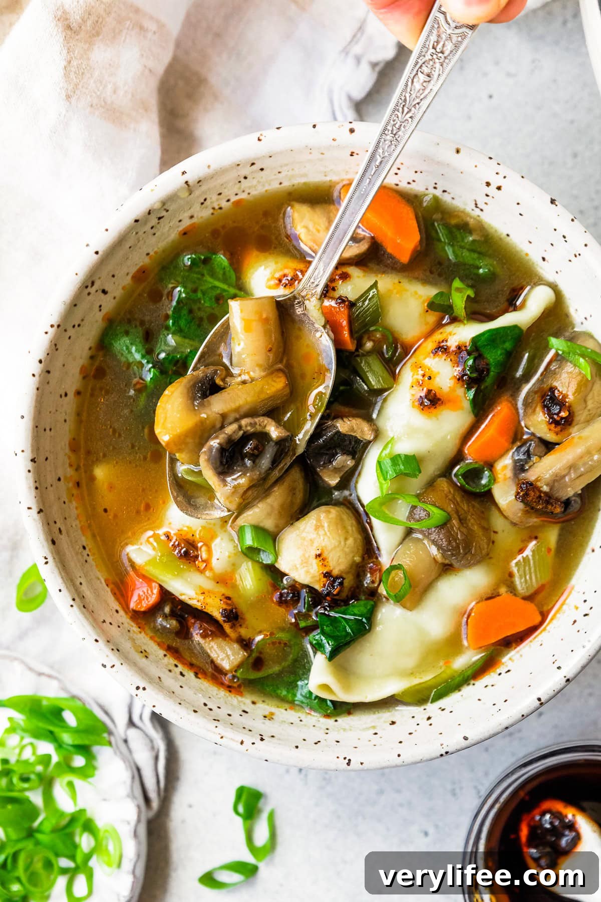 Potsticker Soup