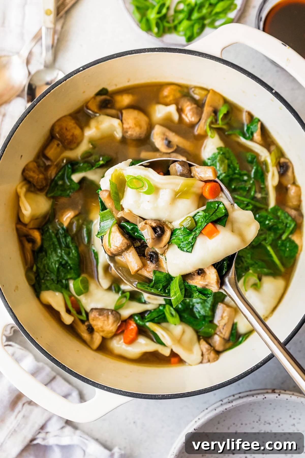 Potsticker Soup in a Dutch oven