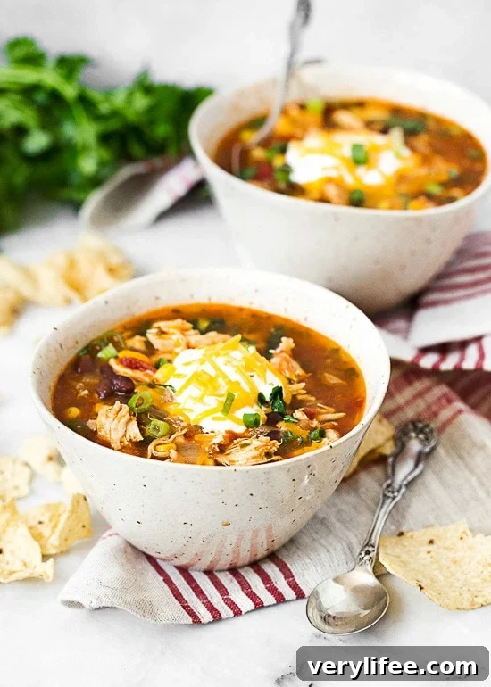 25 Crockpot Dinner Recipes to Enjoy Year-Round 12 Chicken Enchilada Soup