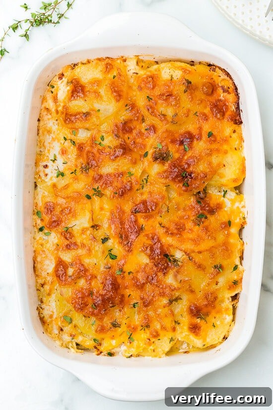 Scalloped Potato Gratin